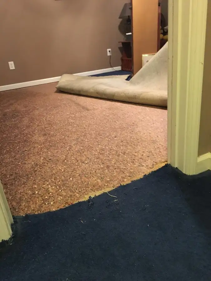Carpet pad removal revealing water damage during Drying & Dehumidification in Chesapeake Ranch Estates