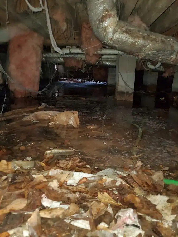 Crawl space flood assessment for Leak Detection & Repair in Chesapeake Ranch Estates