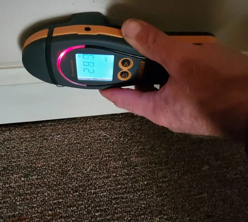 Moisture detection at baseboard during Sewage Cleanup & Sanitation in Chesapeake Ranch Estates
